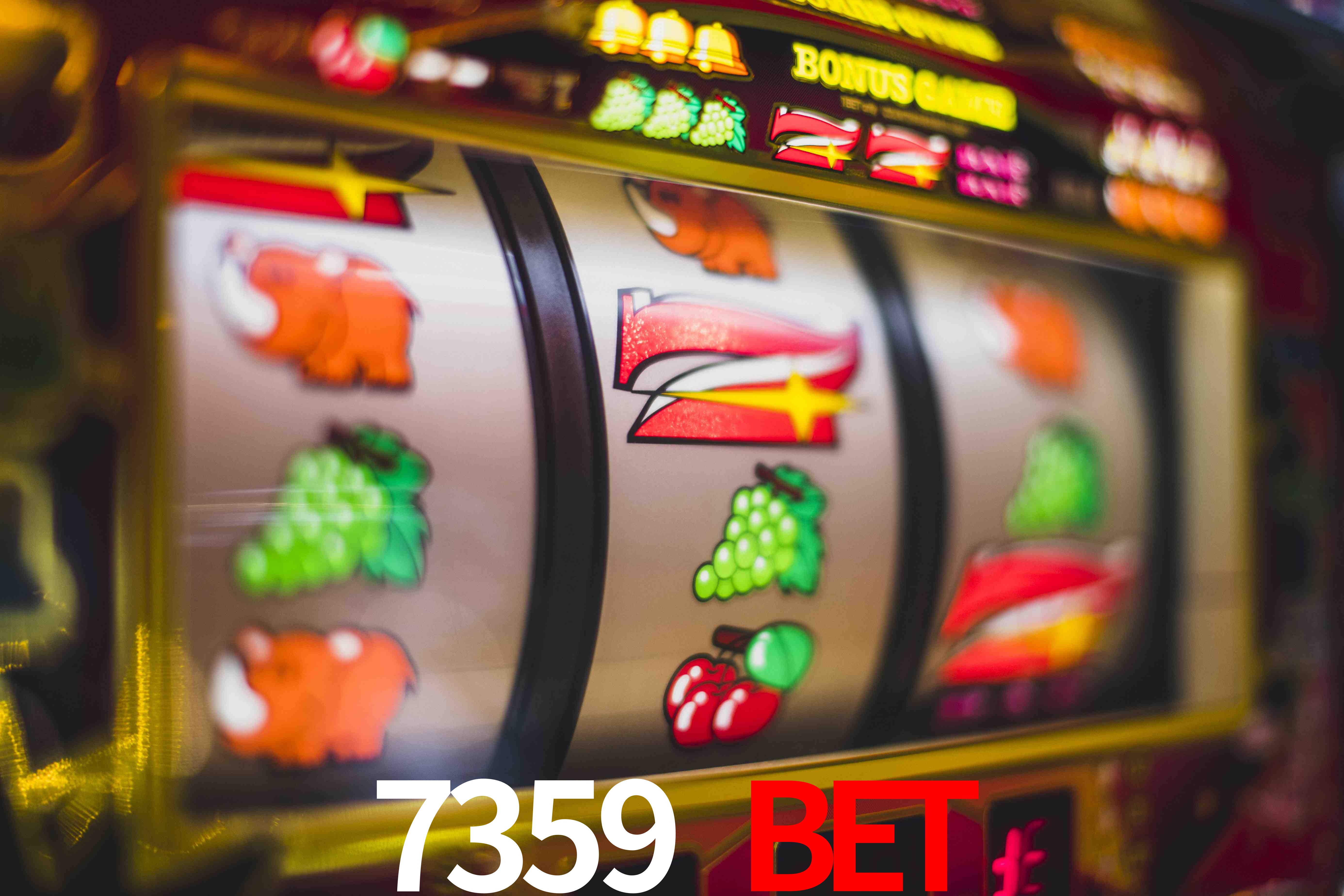 Live Casino 7359 bet